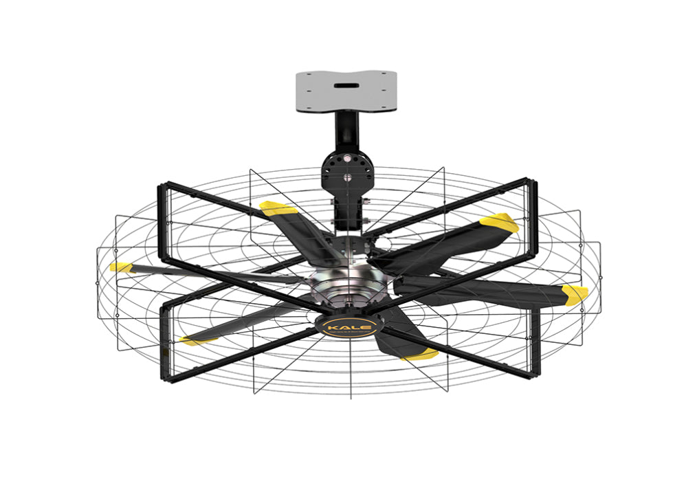 AIRFREE 壁掛けファン